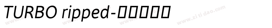 TURBO ripped字体转换